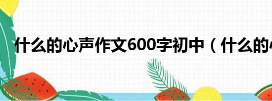 什么的心声作文600字初中（什么的心声）