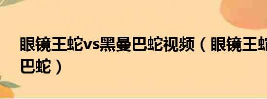 眼镜王蛇vs黑曼巴蛇视频（眼镜王蛇vs黑曼巴蛇）