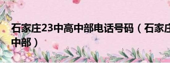 石家庄23中高中部电话号码（石家庄23中高中部）