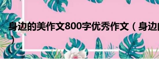 身边的美作文800字优秀作文（身边的美作文）