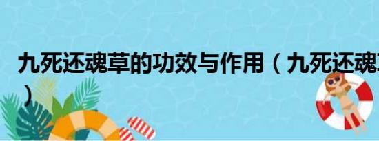 九死还魂草的功效与作用（九死还魂草的功效）