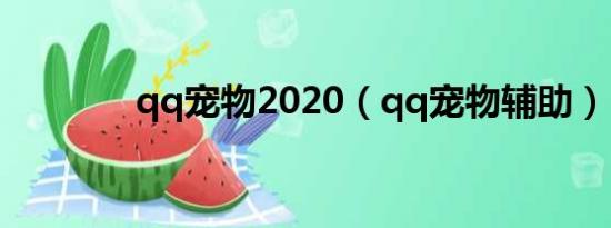 qq宠物2020（qq宠物辅助）