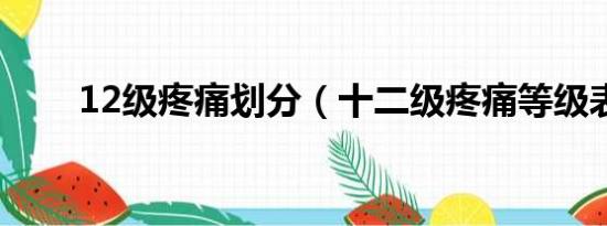 12级疼痛划分（十二级疼痛等级表）