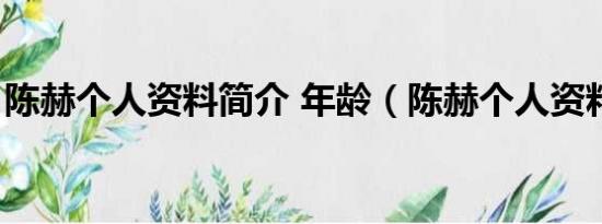 陈赫个人资料简介 年龄（陈赫个人资料简介）