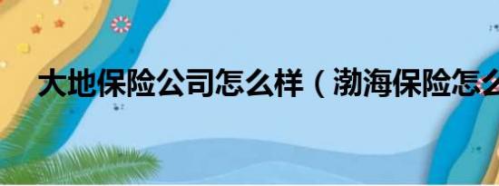 大地保险公司怎么样（渤海保险怎么样）