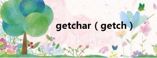 getchar（getch）