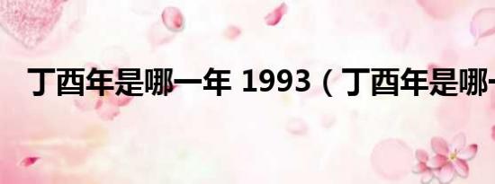 丁酉年是哪一年 1993（丁酉年是哪一年）