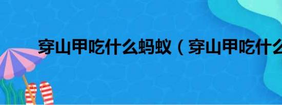 穿山甲吃什么蚂蚁（穿山甲吃什么）