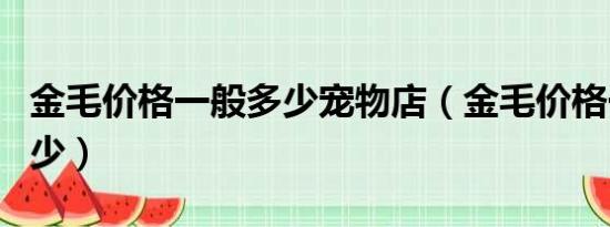 金毛价格一般多少宠物店（金毛价格一般是多少）