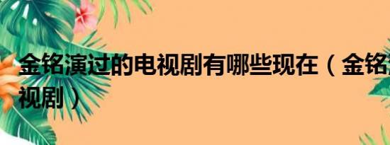 金铭演过的电视剧有哪些现在（金铭演过的电视剧）