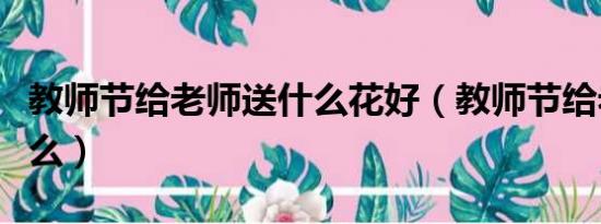 教师节给老师送什么花好（教师节给老师送什么）