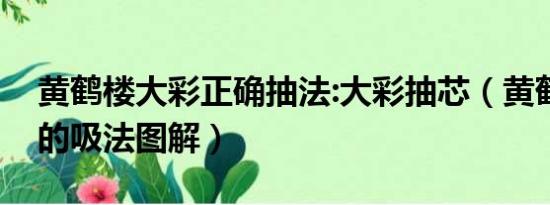 黄鹤楼大彩正确抽法:大彩抽芯（黄鹤楼大彩的吸法图解）