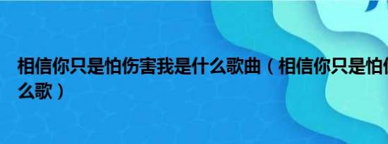 相信你只是怕伤害我是什么歌曲（相信你只是怕伤害我是什么歌）