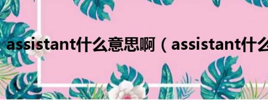 assistant什么意思啊（assistant什么意思）