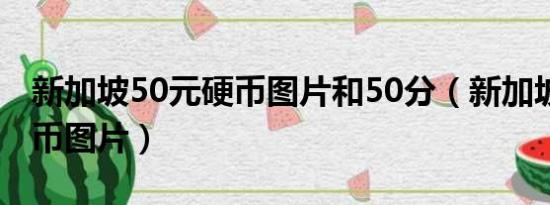 新加坡50元硬币图片和50分（新加坡50元硬币图片）