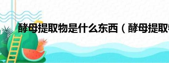 酵母提取物是什么东西（酵母提取物）