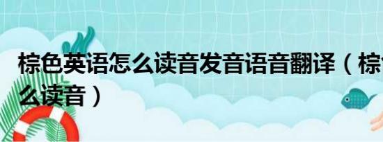 棕色英语怎么读音发音语音翻译（棕色英语怎么读音）