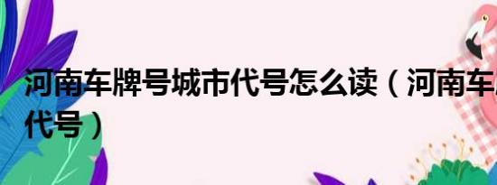 河南车牌号城市代号怎么读（河南车牌号城市代号）