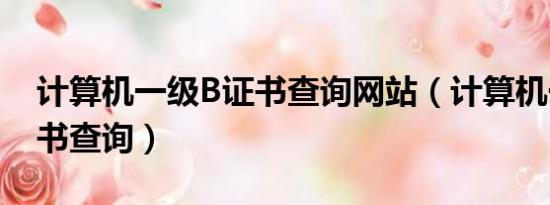 计算机一级B证书查询网站（计算机一级b证书查询）