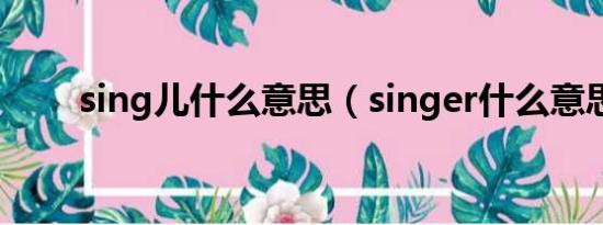 sing儿什么意思（singer什么意思）