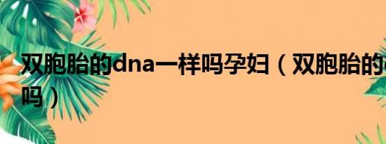 双胞胎的dna一样吗孕妇（双胞胎的dna一样吗）