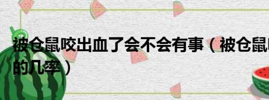 被仓鼠咬出血了会不会有事（被仓鼠咬出血死的几率）