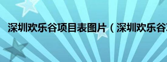 深圳欢乐谷项目表图片（深圳欢乐谷项目）