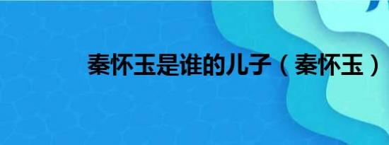 秦怀玉是谁的儿子（秦怀玉）