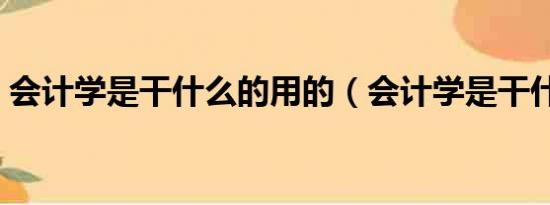 会计学是干什么的用的（会计学是干什么的）