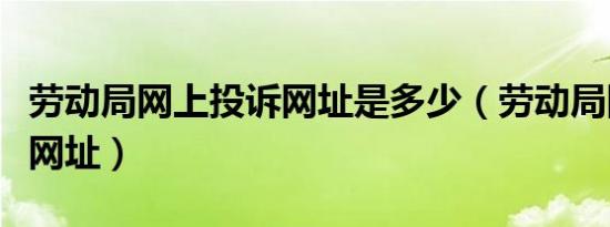 劳动局网上投诉网址是多少（劳动局网上投诉网址）