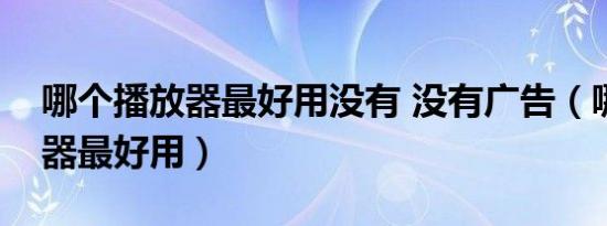 哪个播放器最好用没有 没有广告（哪个播放器最好用）