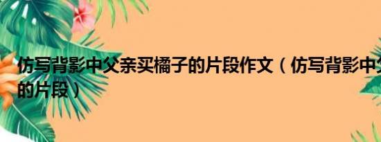 仿写背影中父亲买橘子的片段作文（仿写背影中父亲买橘子的片段）