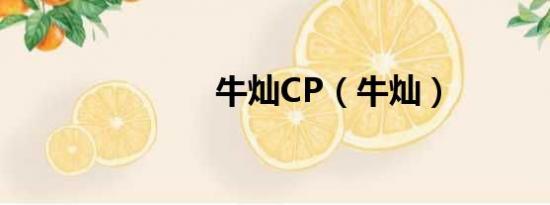 牛灿CP（牛灿）