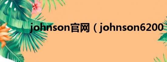 johnson官网（johnson6200）