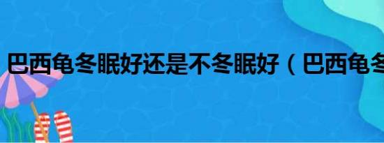 巴西龟冬眠好还是不冬眠好（巴西龟冬眠吗）