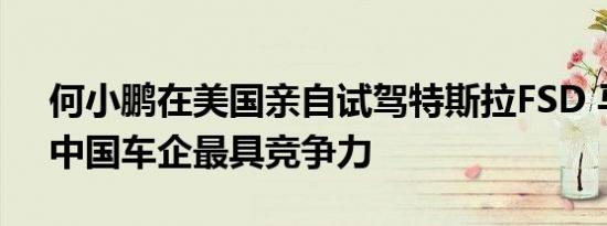 何小鹏在美国亲自试驾特斯拉FSD 马斯克：中国车企最具竞争力