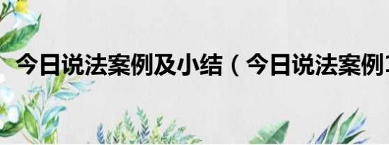 今日说法案例及小结（今日说法案例10篇）