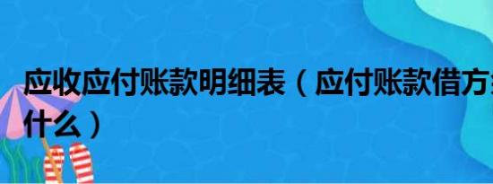 应收应付账款明细表（应付账款借方余额表示什么）