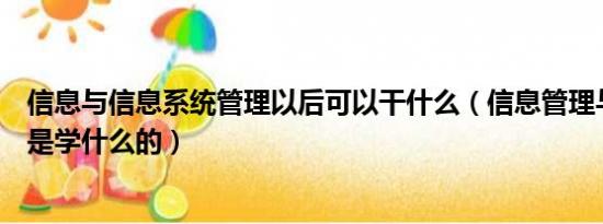 信息与信息系统管理以后可以干什么（信息管理与信息系统是学什么的）