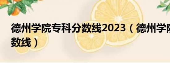 德州学院专科分数线2023（德州学院专科分数线）