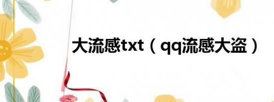 大流感txt（qq流感大盗）