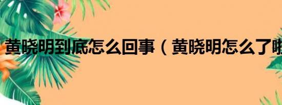 黄晓明到底怎么回事（黄晓明怎么了啦最近）