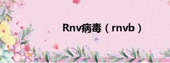 Rnv病毒（rnvb）