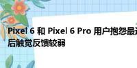 Pixel 6 和 Pixel 6 Pro 用户抱怨最近的 Android 12L 更新后触觉反馈较弱