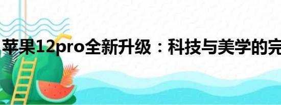 苹果12pro全新升级：科技与美学的完美结合